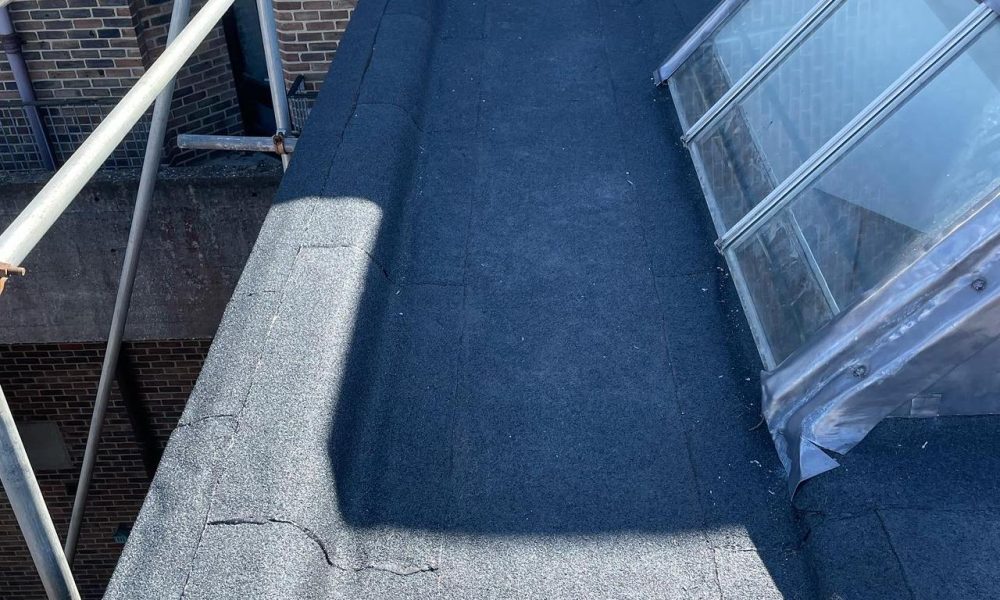 WhatsApp Image 2023-01-20 at 13.54.59