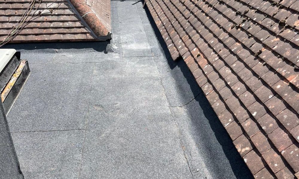 WhatsApp Image 2023-01-20 at 13.55.01